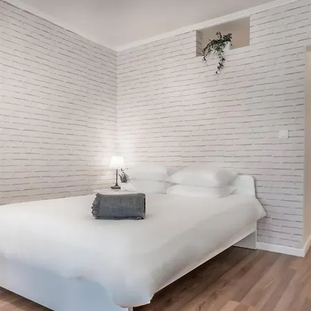 Under A Fig Tree Lisboa